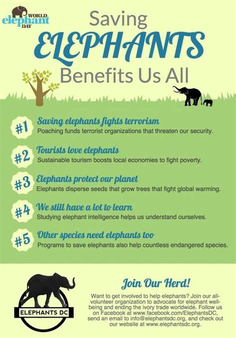 Benefits of Elephant Printables