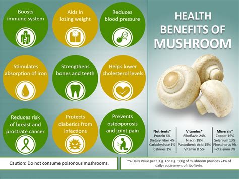 Benefits of mushroom calendars