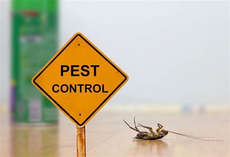 The Benefits of Pest Control