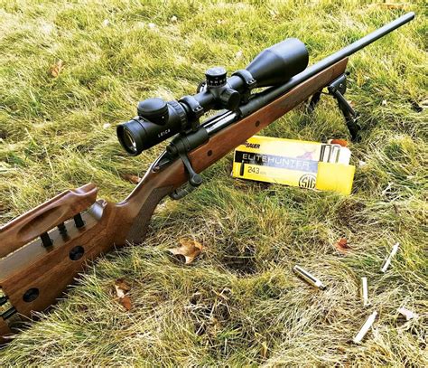 Best Bolt Action Rifles for Hunting and Precision Shooting