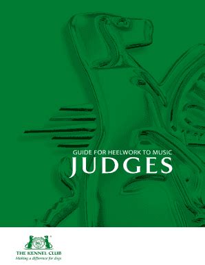 Best Practices for Judges