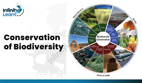 Biodiversity Conservation in Agriculture