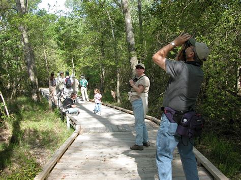 Bird Watching at Range 19 Fort Bragg