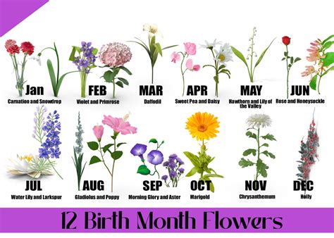 Birth Flowers Meaning