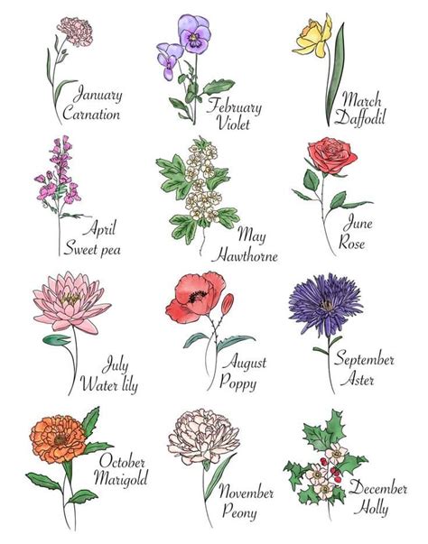 Birth month flowers and their meanings