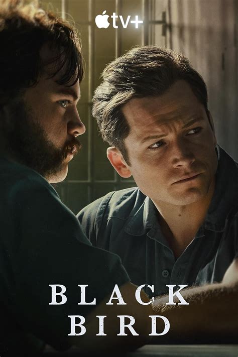 Blackbird Movie Genre