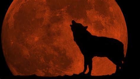 Mythology and Folklore Surrounding the Blood Moon