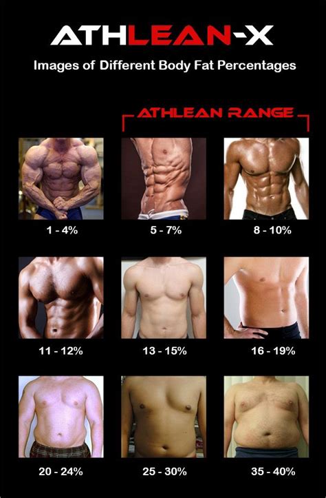 Body Fat Measurements