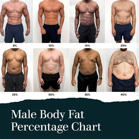 Body fat percentage standards for USAF personnel