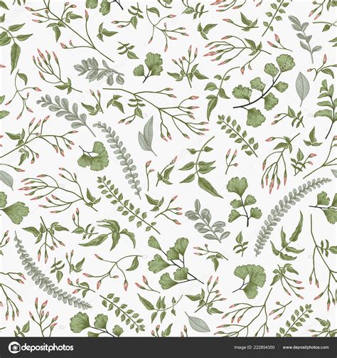 Botanical Pattern