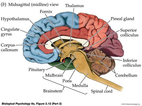 Description of Image 3