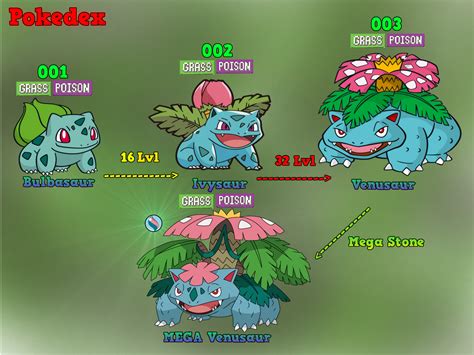 Bulbasaur evolution chart