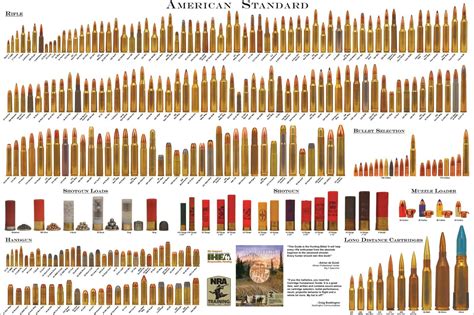 Bullet Weight Comparison 2