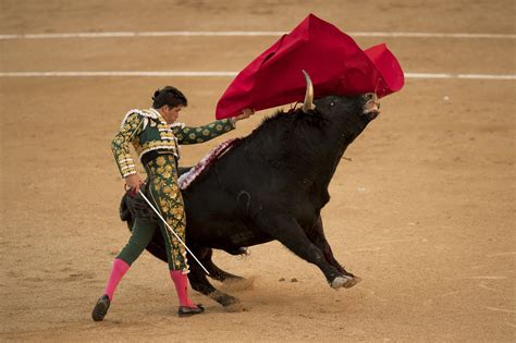 Bullfighting Spain