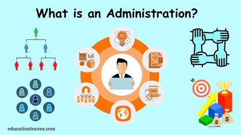 Types of Business Administration