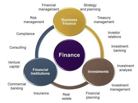 Business and Finance Fields