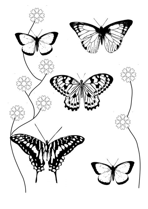 Tips and techniques for coloring butterfly pages