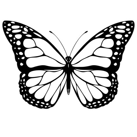 Butterfly coloring page gallery