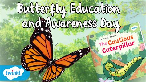 Description of Butterfly Education