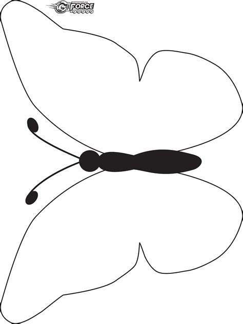 Description of Butterfly Templates