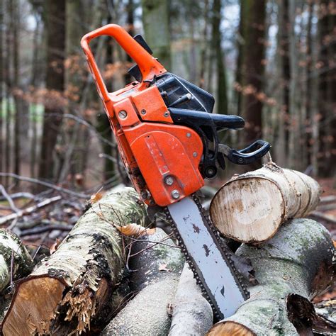 Buying guide for used chainsaws