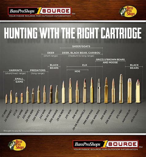 Caliber Comparison