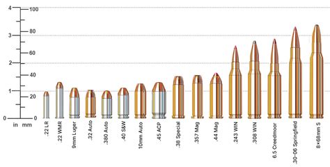 Caliber Measurements