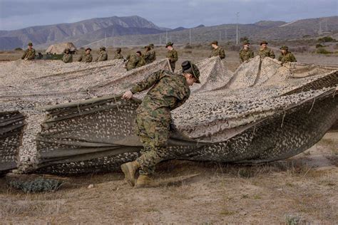 Camouflage netting techniques