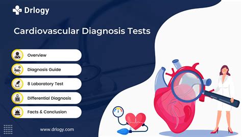 Cardiovascular disease testing equipment in a cardiopulmonary lab