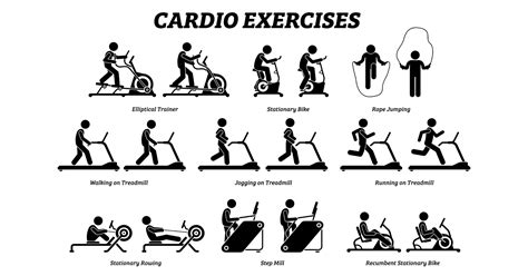 Cardiovascular Exercise