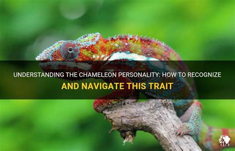 Career Chameleon Characteristics