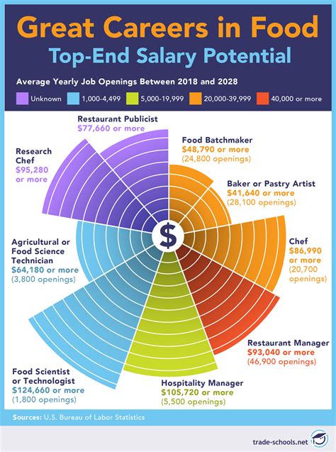 Career Fields List: Top Industries And Job Opportunities