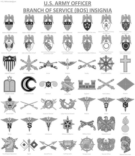 Career Officer Army Badge Gallery 6