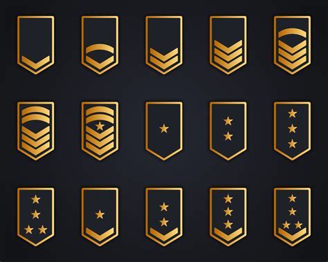 5 Ways to Earn Career Officer Army Badge