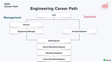 Career Paths in Engineering and Technology