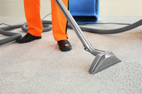 Carpet and upholstery maintenance