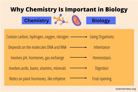 Chemistry and Biology