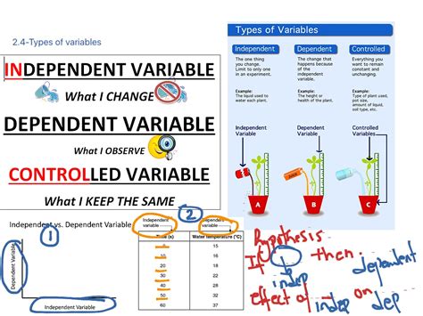 Chemistry variable XX