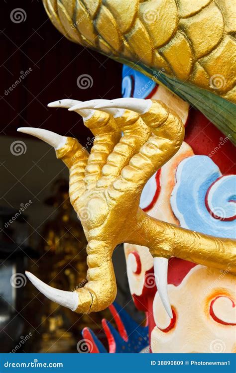 Chinese dragon claws