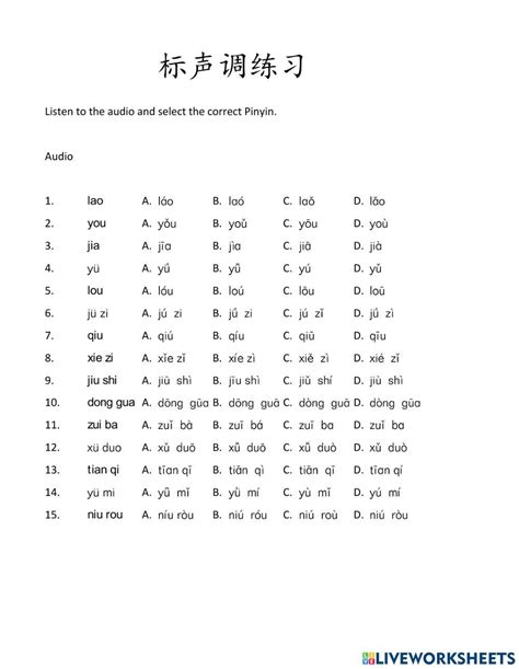 Chinese Language Practice