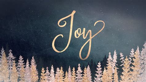 Christmas joy