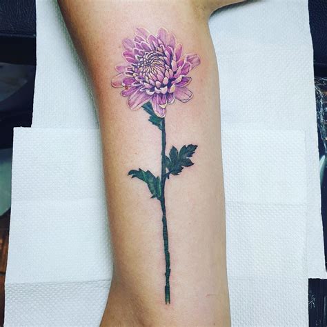 Chrysanthemum tattoo aftercare