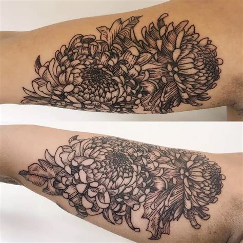 Chrysanthemum tattoo designs