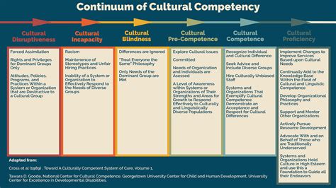 Cultural competence for CIA officers