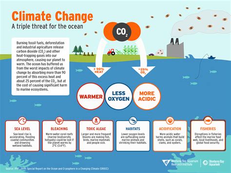 Climate change impacts