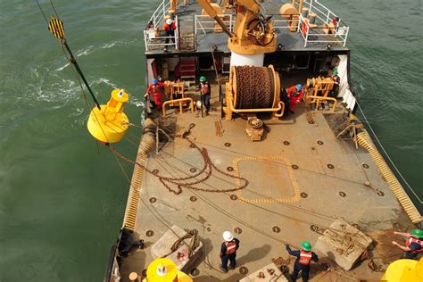 Coast Guard Deck Branch