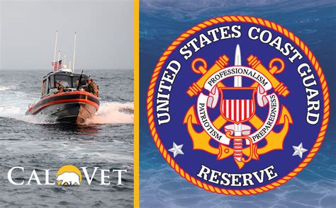 Coast Guard Reserve domestic emergency response