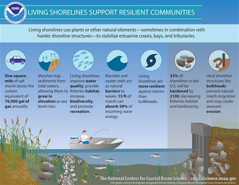 Conservation efforts for coastlines