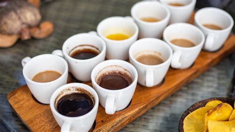 Coffee Tastings Gallery