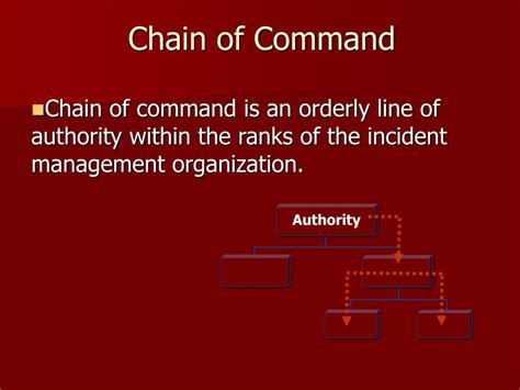 A diagram showing the flow of authority within the command chain